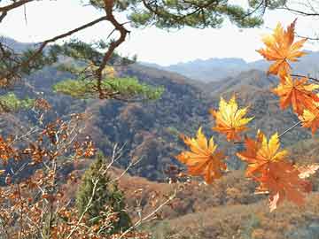 追剧达人最新地址